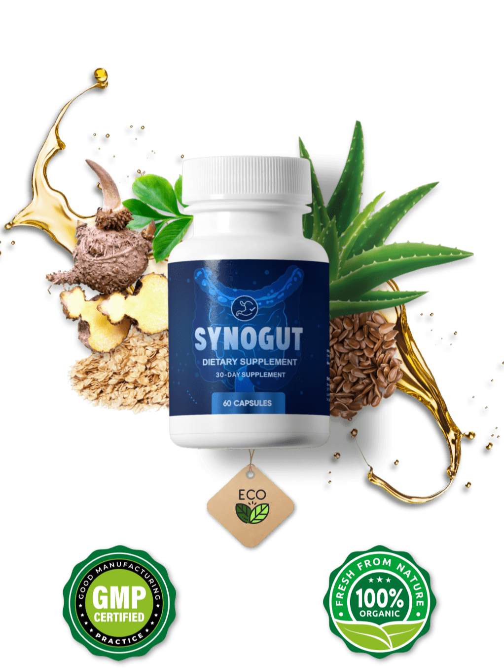 SynoGut SynoGut